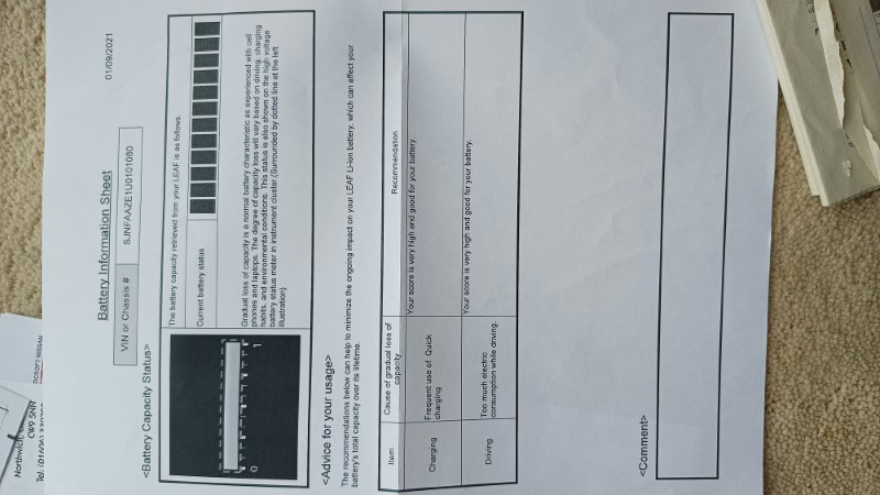 Leaf Tekna 2020 Service Records (7)